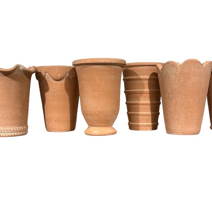 Botanical Collections - Wholesale Plant Pot - Tall Herb Pots - Case of Six