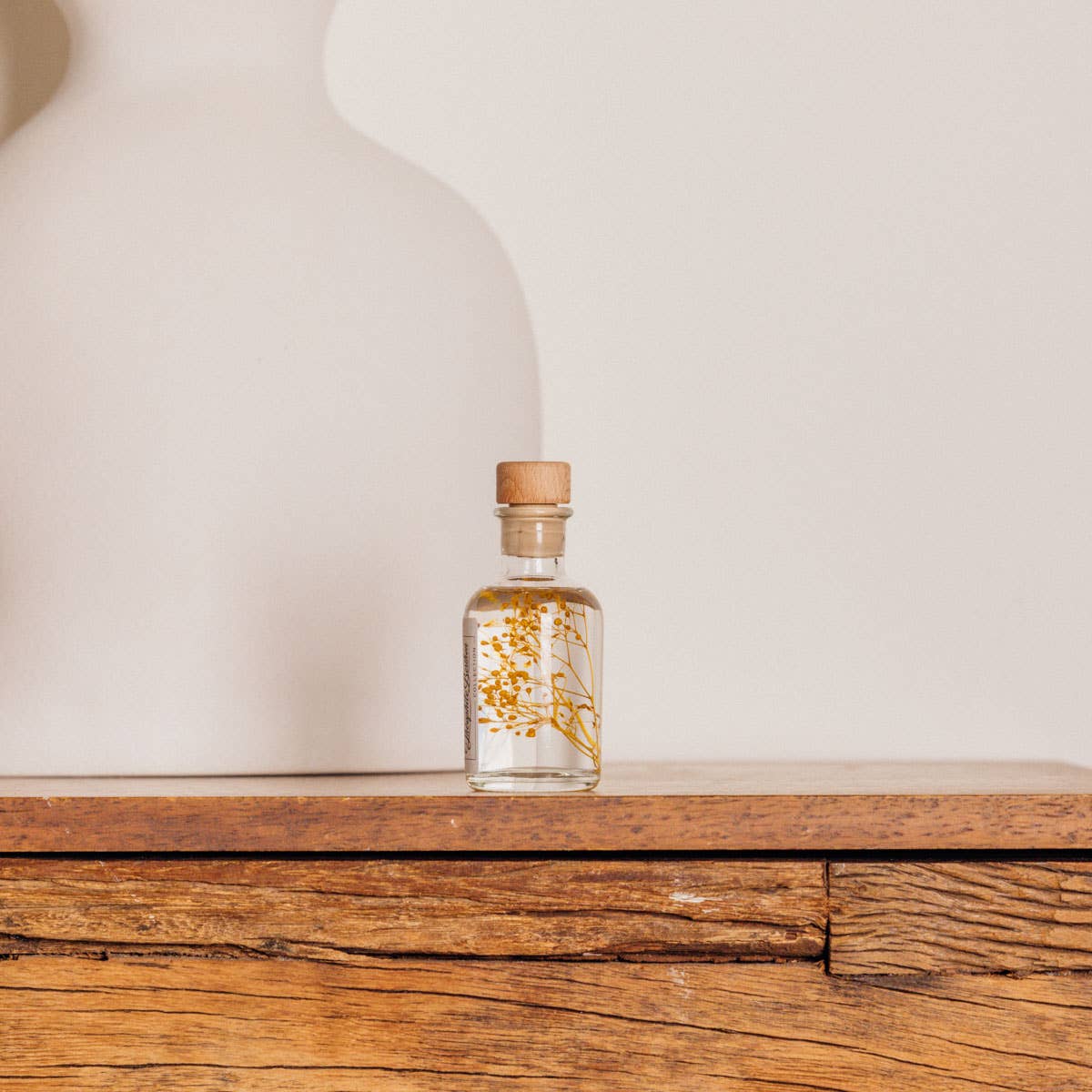 Theophile Berthon - Vente Plante - L'Herbarium Gypsophile safran - plante immergée4