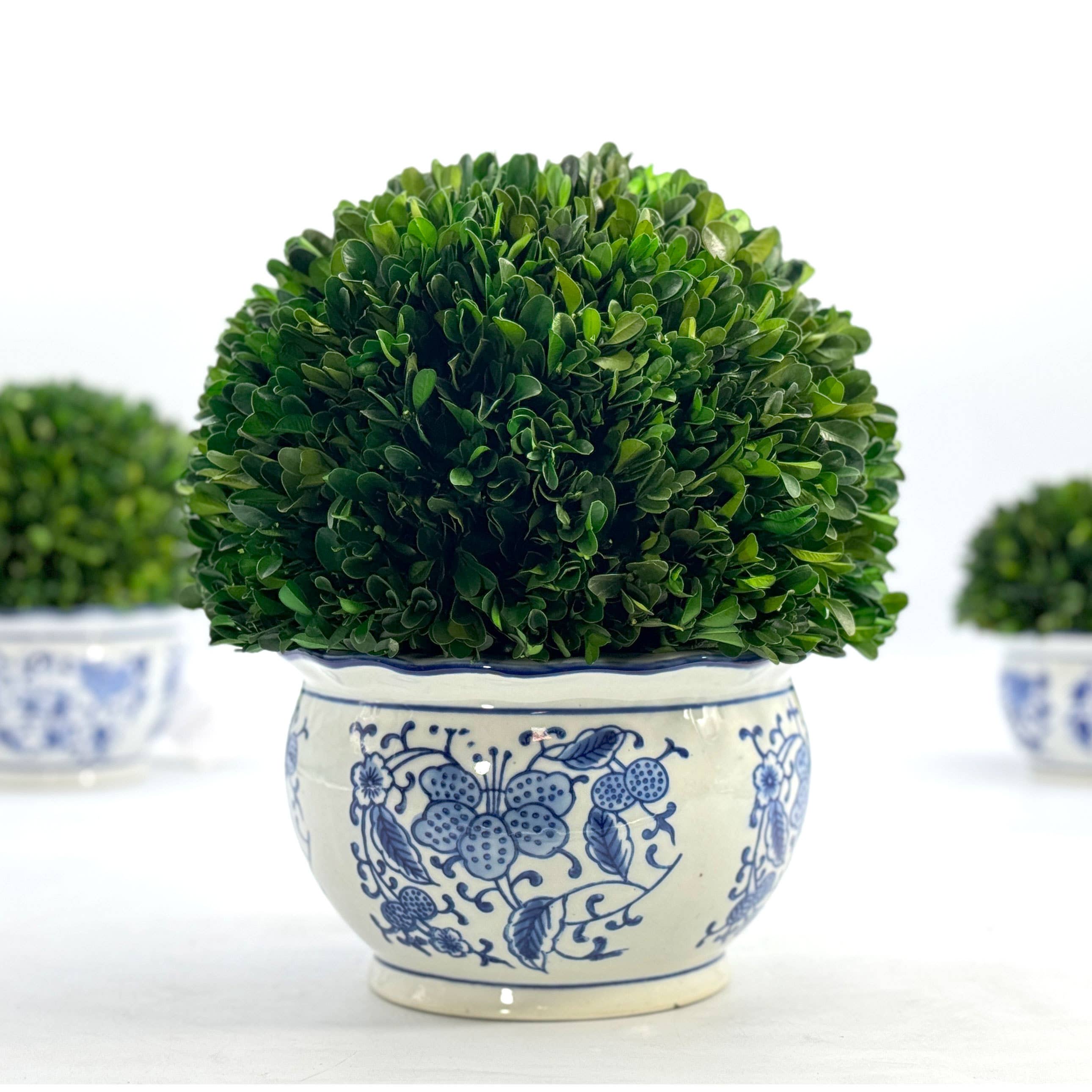 Galt International Company - Wholesale Kunstplant - Buxusbol-topiary in ronde blauw-witte keramische pot7