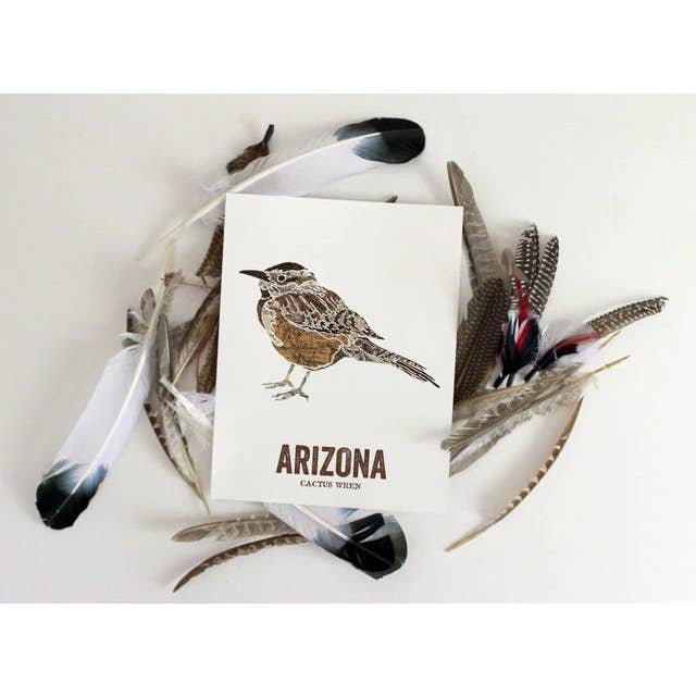 Arizona State Bird, Map Prints - Cactus Wren for wholesale by Wooden Pencil Company