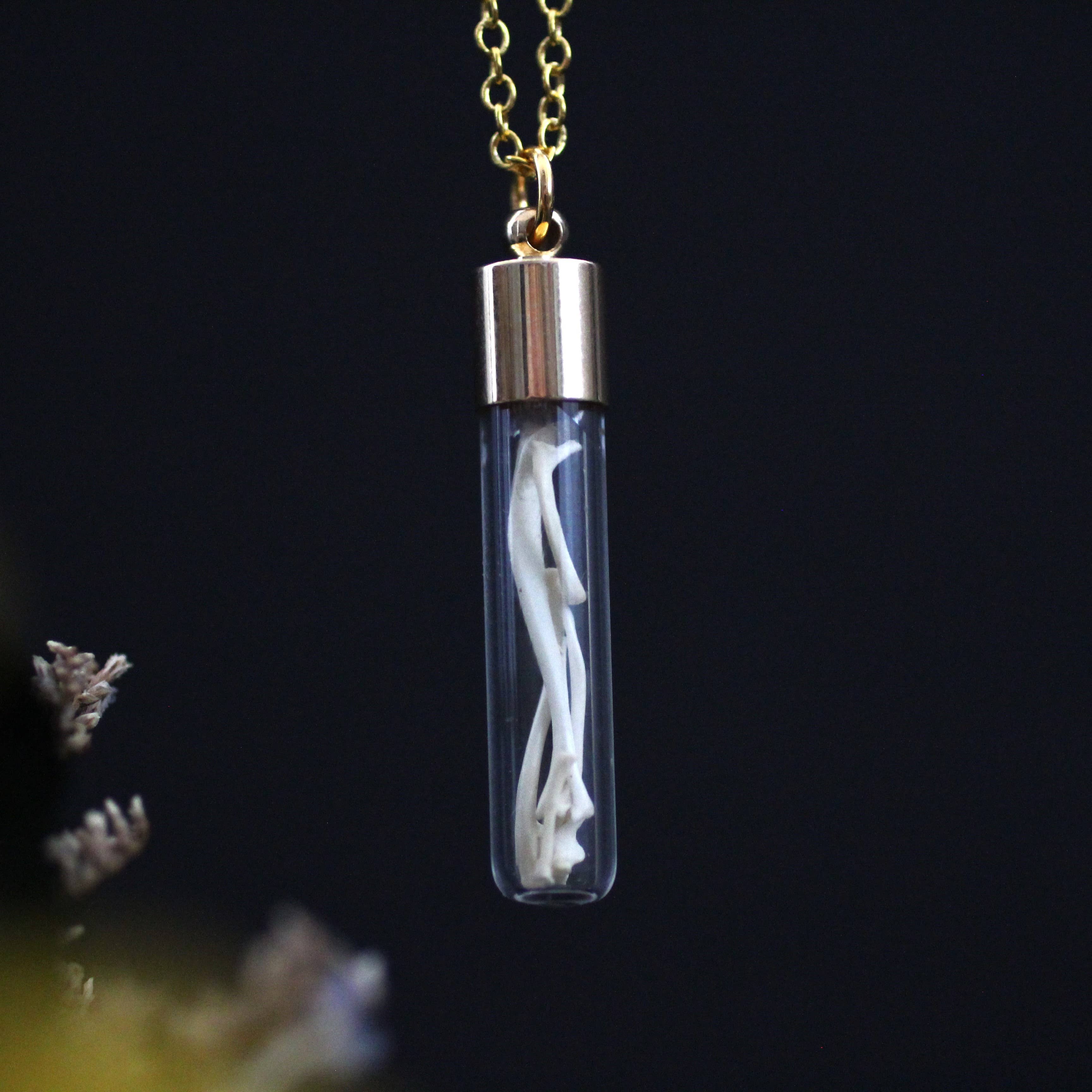 Kitty Bomb Curios - Wholesale Pendant/Charm Necklace - Bone Vial Necklaces | Oddities jewelry mini glass jar teeth9