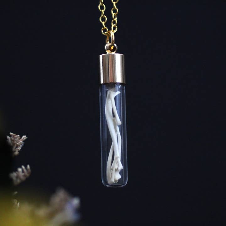 Kitty Bomb Curios - Wholesale Pendant/Charm Necklace - Bone Vial Necklaces | Oddities jewelry mini glass jar teeth9