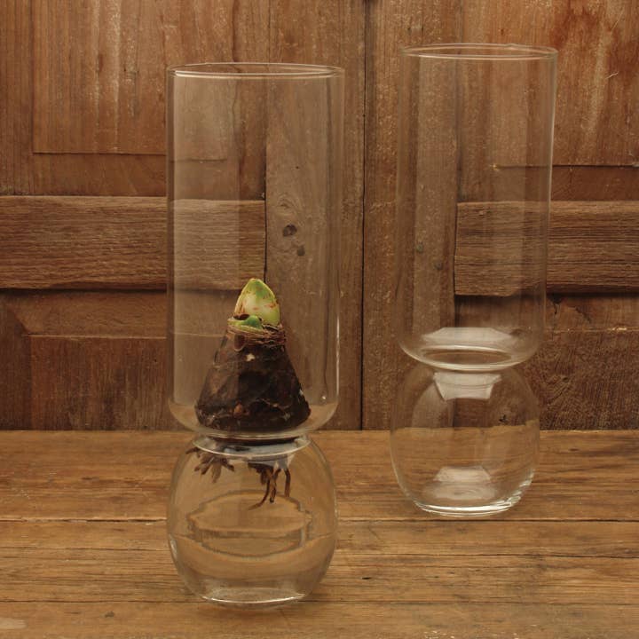 HomArt - Wholesale Vase - Bulb Vase Extra Tall - Clear