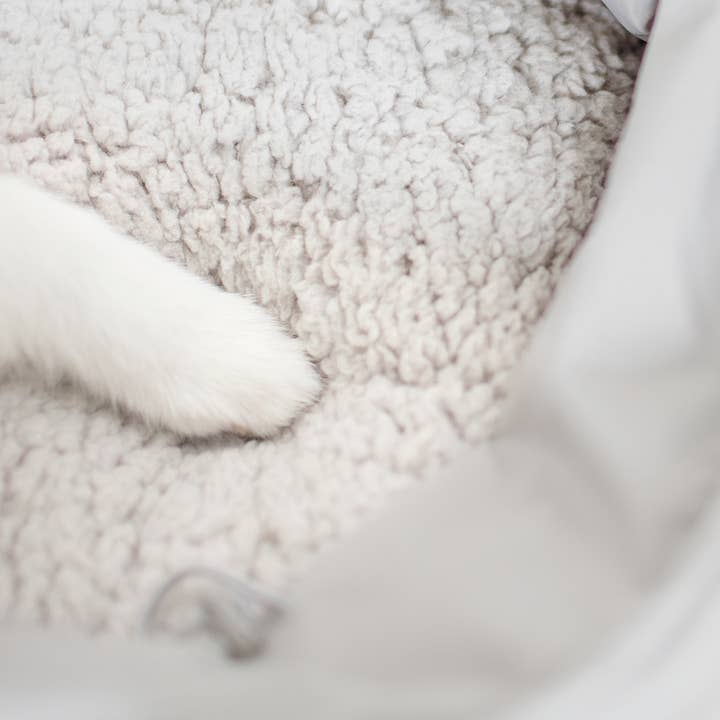 Lambwolf Collective – Caixa de transporte - Cão por atacado – OLLA | ALCOFA PETITE PET//CÃO PORTA-CÃES1