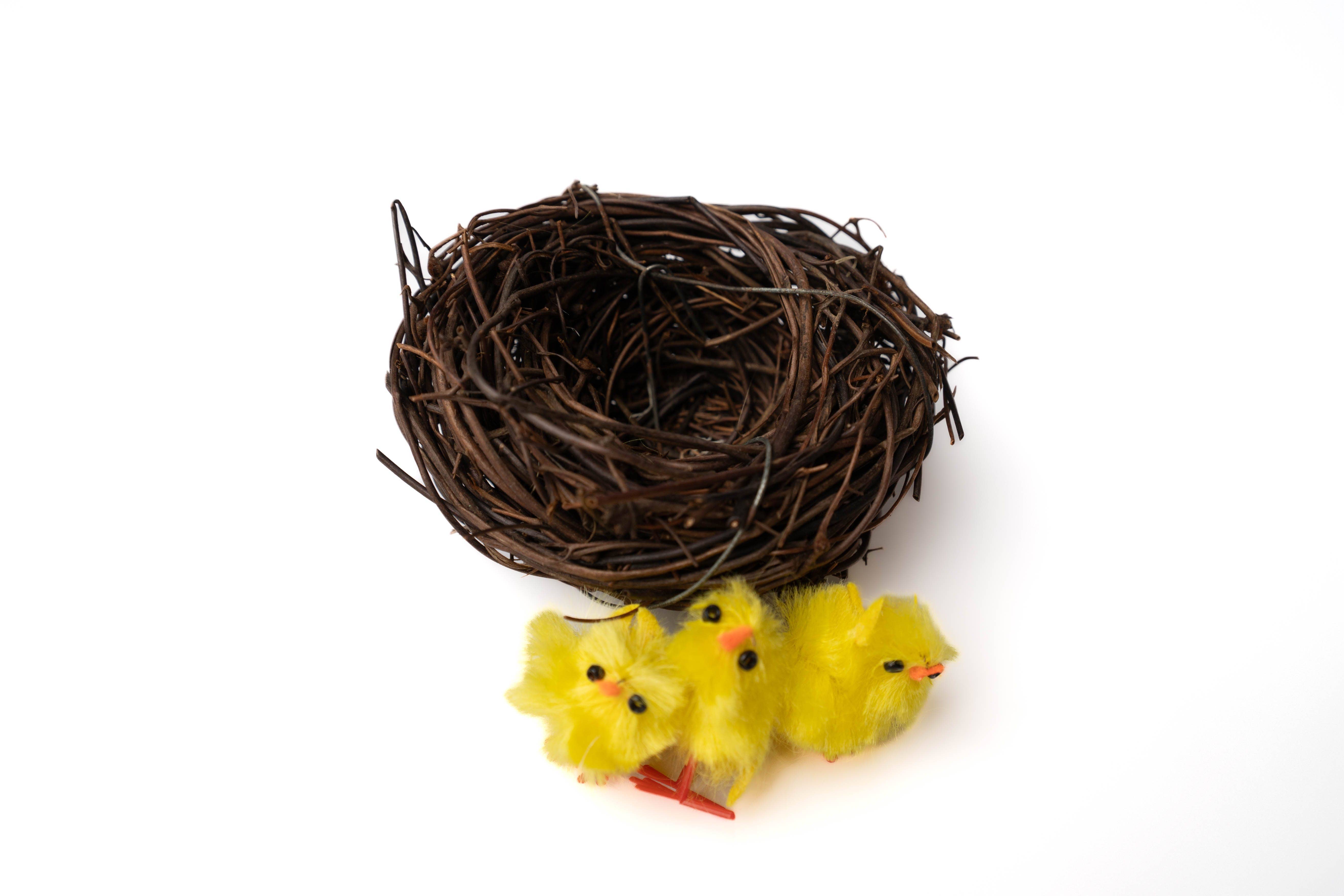 Meemzy Magic - Wholesale Art Set - Kids & Baby - Spring Best Sellers: Easter, Earth Day, and Rainbows9