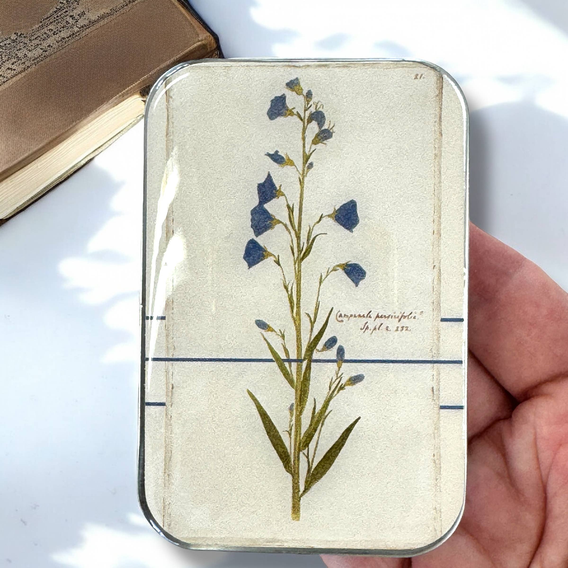 Firefly Notes - Wholesale Knitting/Crochet Supplies - Bellflower Notions Tin2