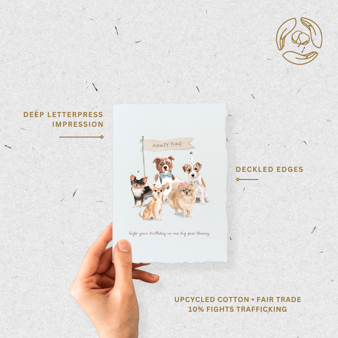 Paper Baristas - Wholesale Birthday Card - Birthday Paw-tay Dogs | Eco-Friendly Greeting Card3