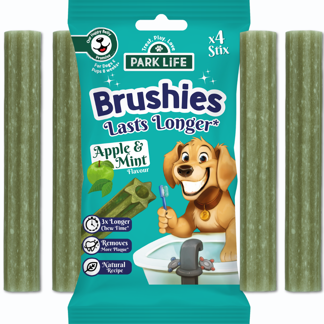 PARK LiFE - Wholesale Pet Bone/Rawhide - Dog - PARK LiFE Brushies Apple & Mint Flavour 80g
1