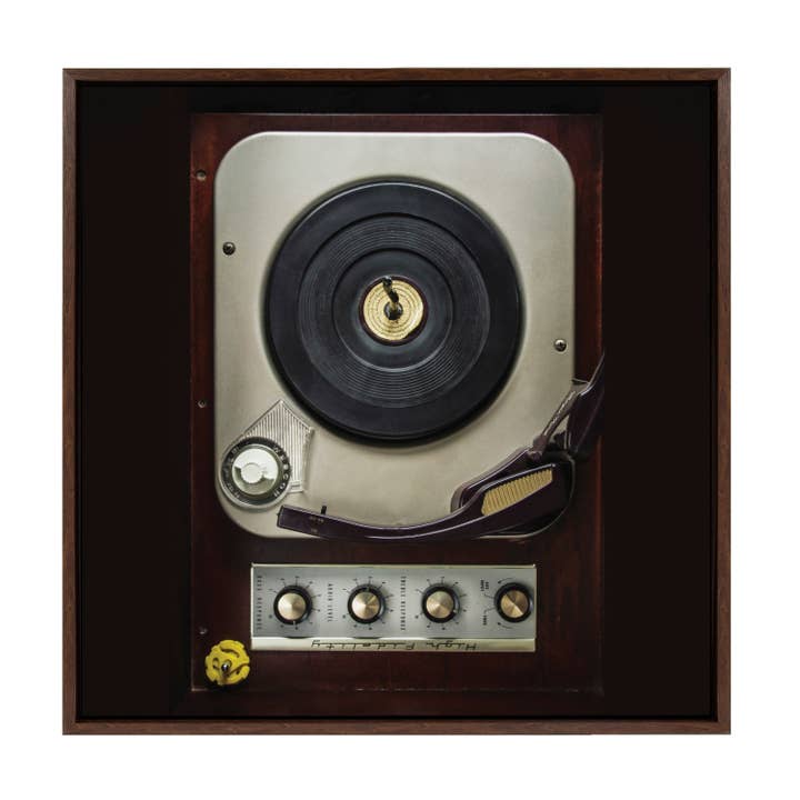 Sylvie High Fidelity Framed Canvas by Emiko and Mark Franzen of F2Images for wholesale by Kate and Laurel