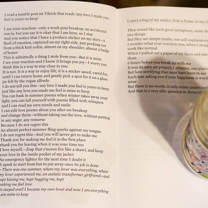 Salted Fruit Shop – wholesale Teen and young adult book – An Almost Perfect Summer Fling Zine3