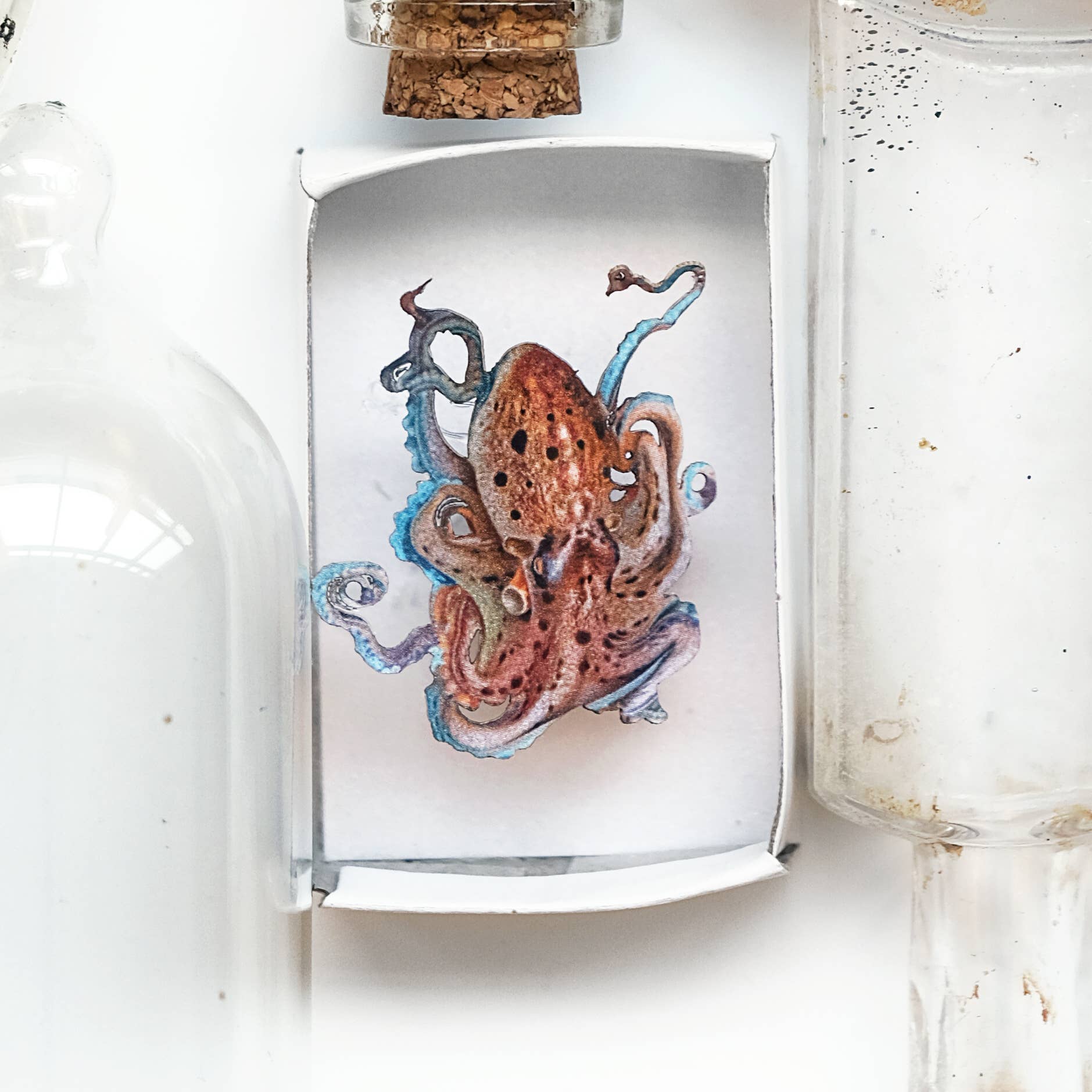 Moth and Myth - Wholesale Decorative Figurine - 'Biophilia' Micro Specimen Collection4