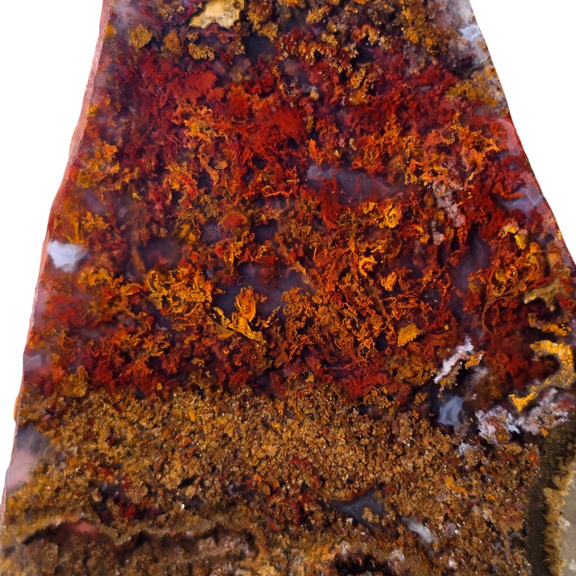 Lapidary Central - Wholesale Spiritual Stone/Crystal - San Carlos Agate Slab Vibrant Red Moss and High-Contrast Agate Pattern1