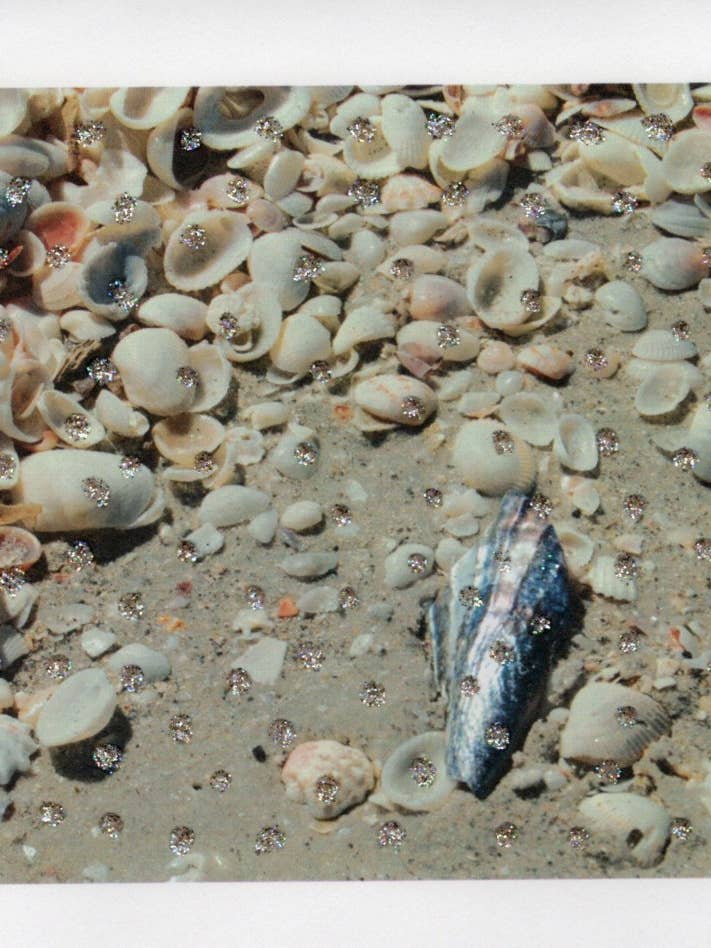Abalone & Beach Shells Glitter Photograph Card for wholesale by The Marble Faun Gifts