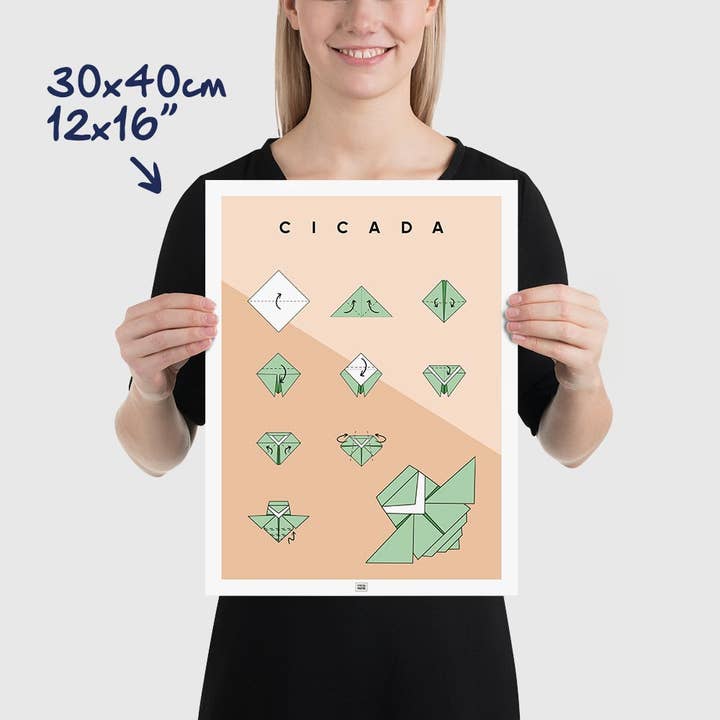 FROG POSTERS - Wholesale Poster - Origami Cicada Poster