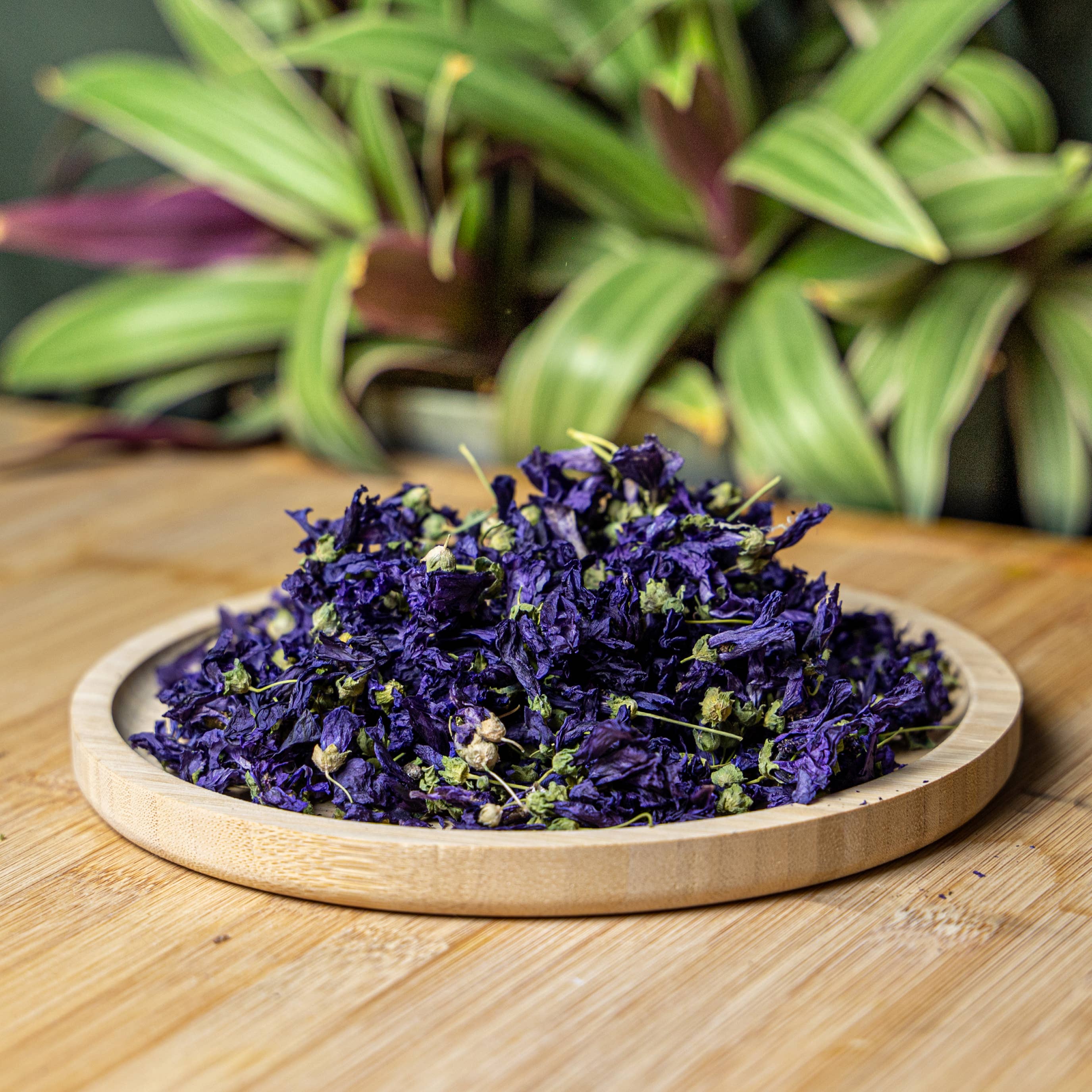 RAYA – Großhandel Gesundheits-/Entgiftungstee – Bio-Blauer Malvensäckchen2