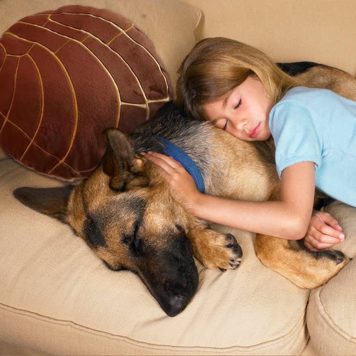 Abound Lifestyle - Wholesale Throw/Decorative Pillow - Concha Bread Decorative Throw Pillow22