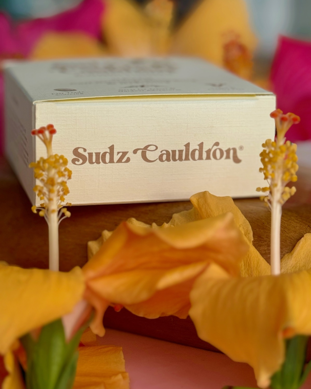 Sudz Cauldron - Wholesale Hair Conditioner - Haven Solid Conditioner Bar for Curls – Hydrate & Detangle 4