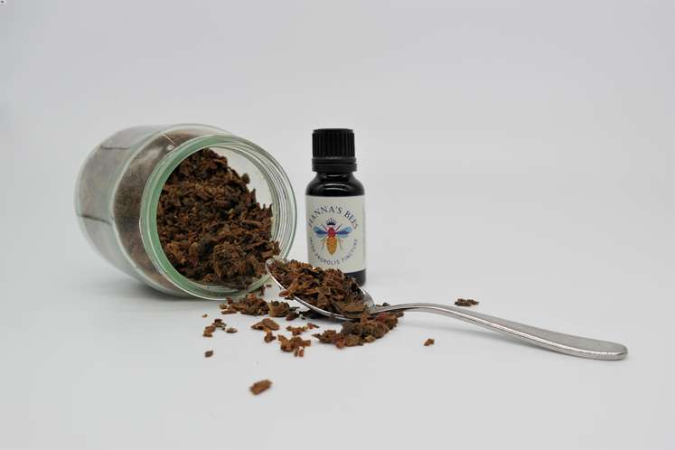 Hanna's Bees - Wholesale Tincture - Propolis Tincture2