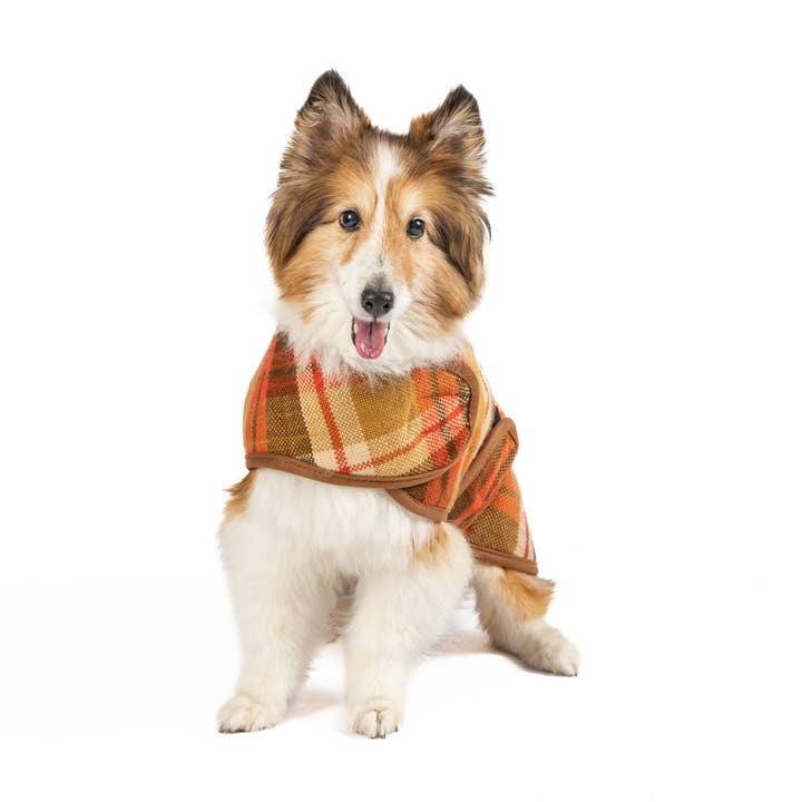 CHILLY DOG LLC - Vente Manteau – chien - Manteau pour chien Rust Plaid4