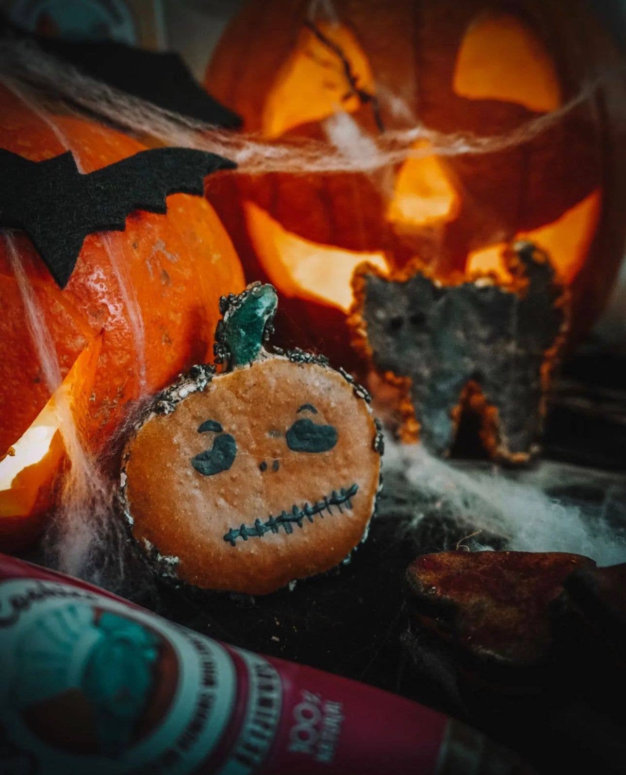 Belpharmed bv: Cooka's Cookies & Sensidog - Wholesale Pet Treats - Dog - Halloween - Spooky Box6