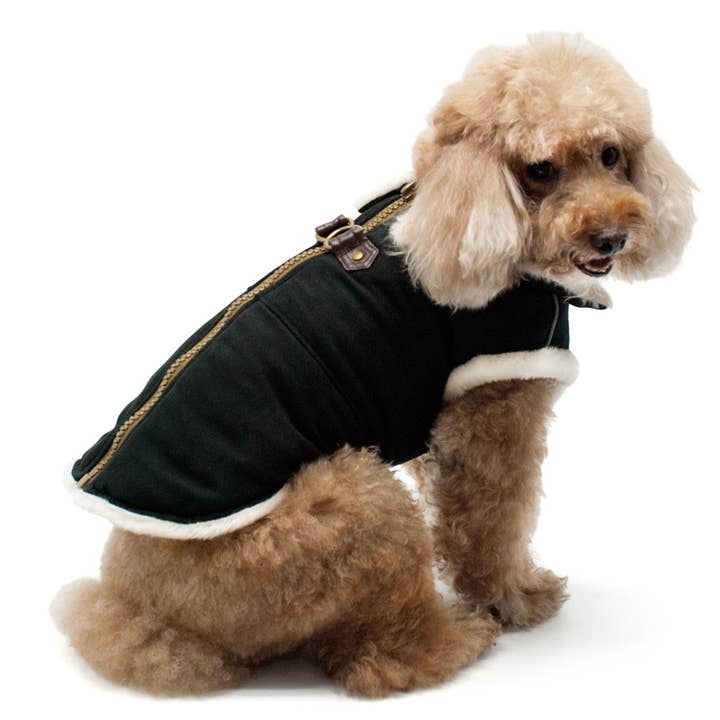 Dogo Pet - Wholesale Pet Coat - Dog - Furry Runner Coat31