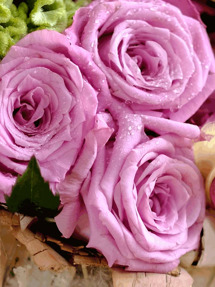 Petals & Birch Scented Melt for wholesale by Warm Glow Candle Company