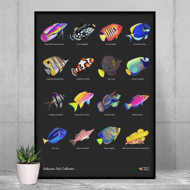 16 Hand-drawn Based Saltwater Fish Poster (Vertical) for wholesale by Reef of Clowns