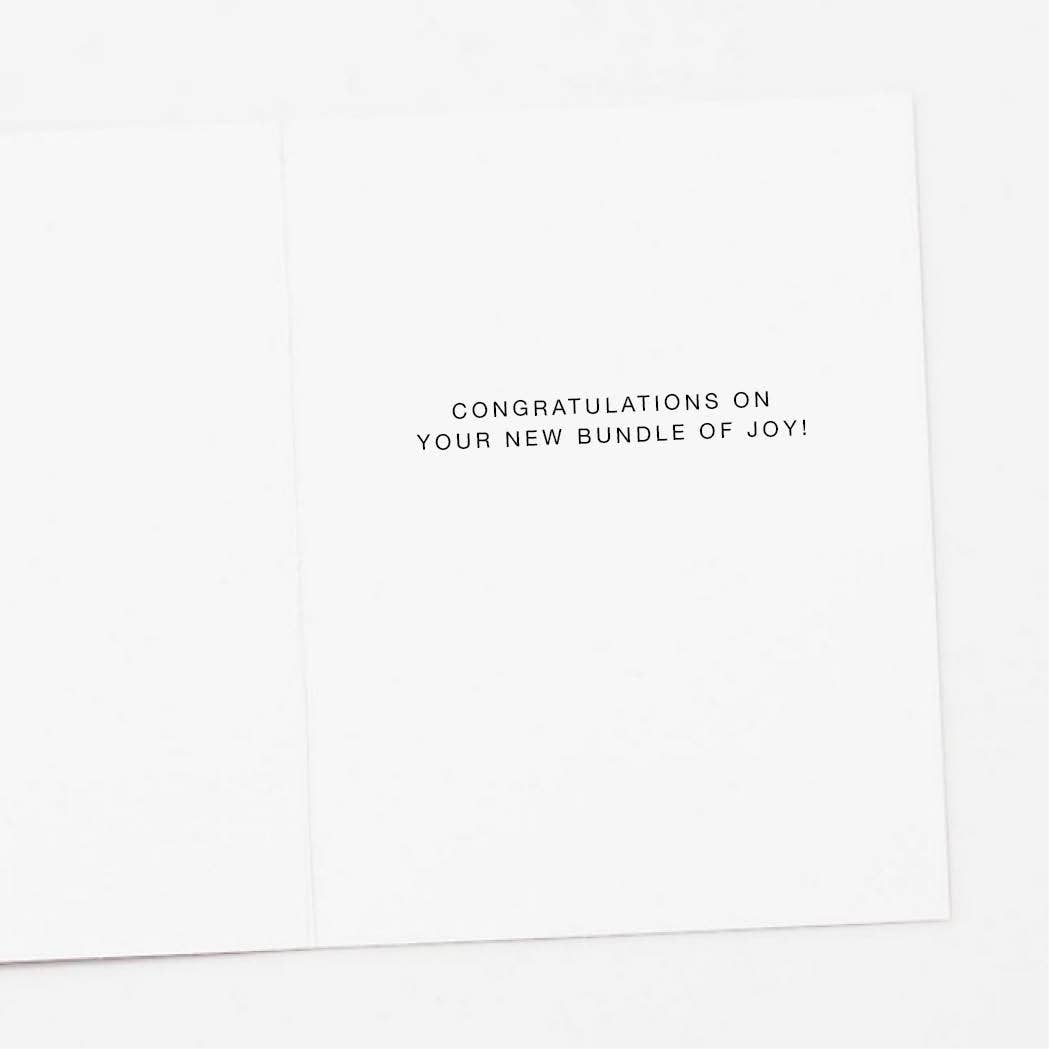 Apartment 2 Cards – postal de bebé por atacado – Lady Bug Novo Bebé Cartão Parabéns1