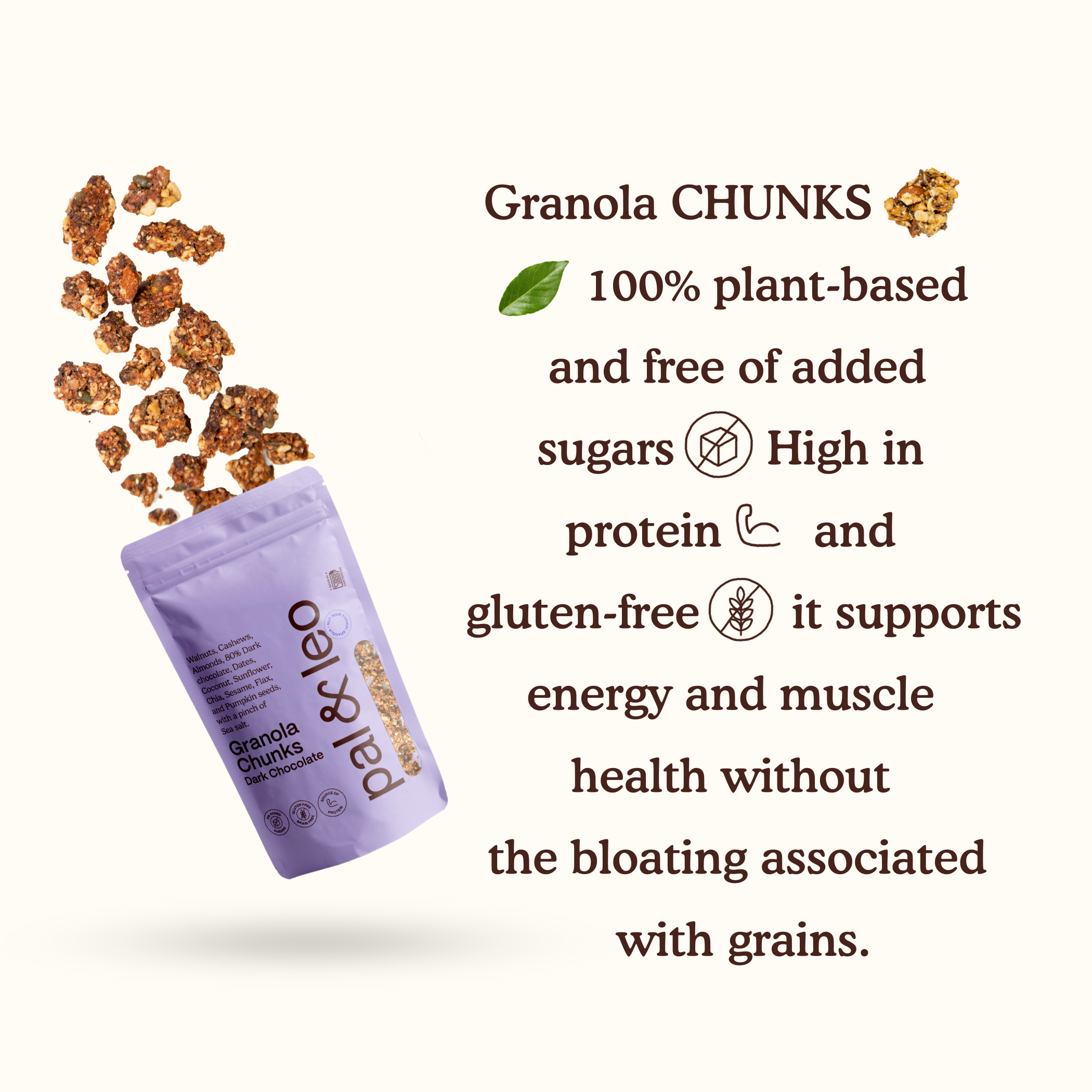 Pal & Leo - Wholesale Granola - Granola Chunks - Dark Chocolate8