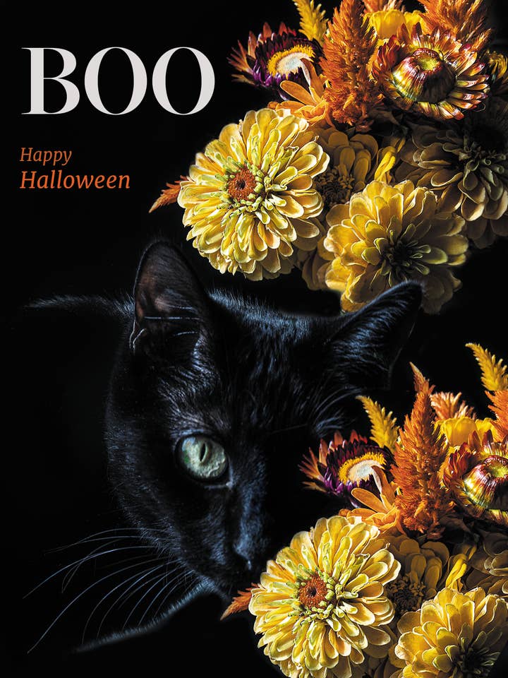 NEW Black Cat Love Happy Halloween Greeting Card for wholesale by Talfoto Studio