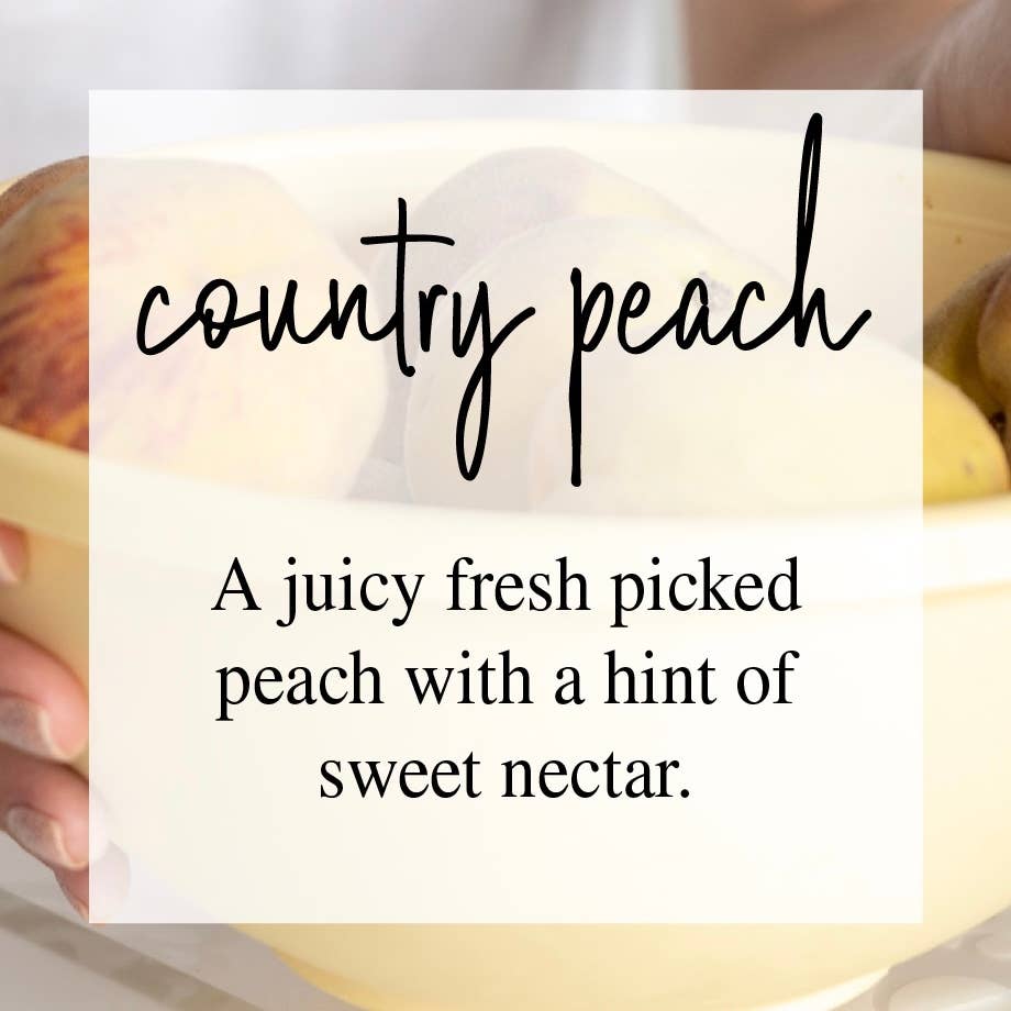 Timber Oak Candles - Wholesale Jar/Filled Candle - 8oz | 100% Pure Soy Mason Jar Candles | 40+ Scents15