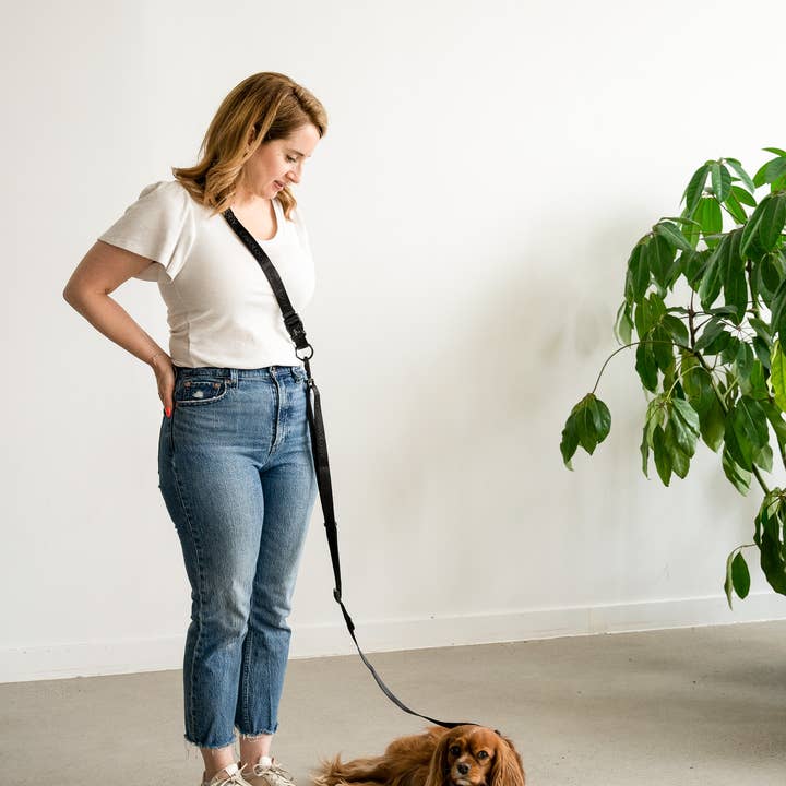 Cavology - Vente Laisse – chien - LAISSE MAINS LIBRES POUR CHIEN EN VINYLE, DEUX PIÈCES, MULTIVOIES, NOIRE6