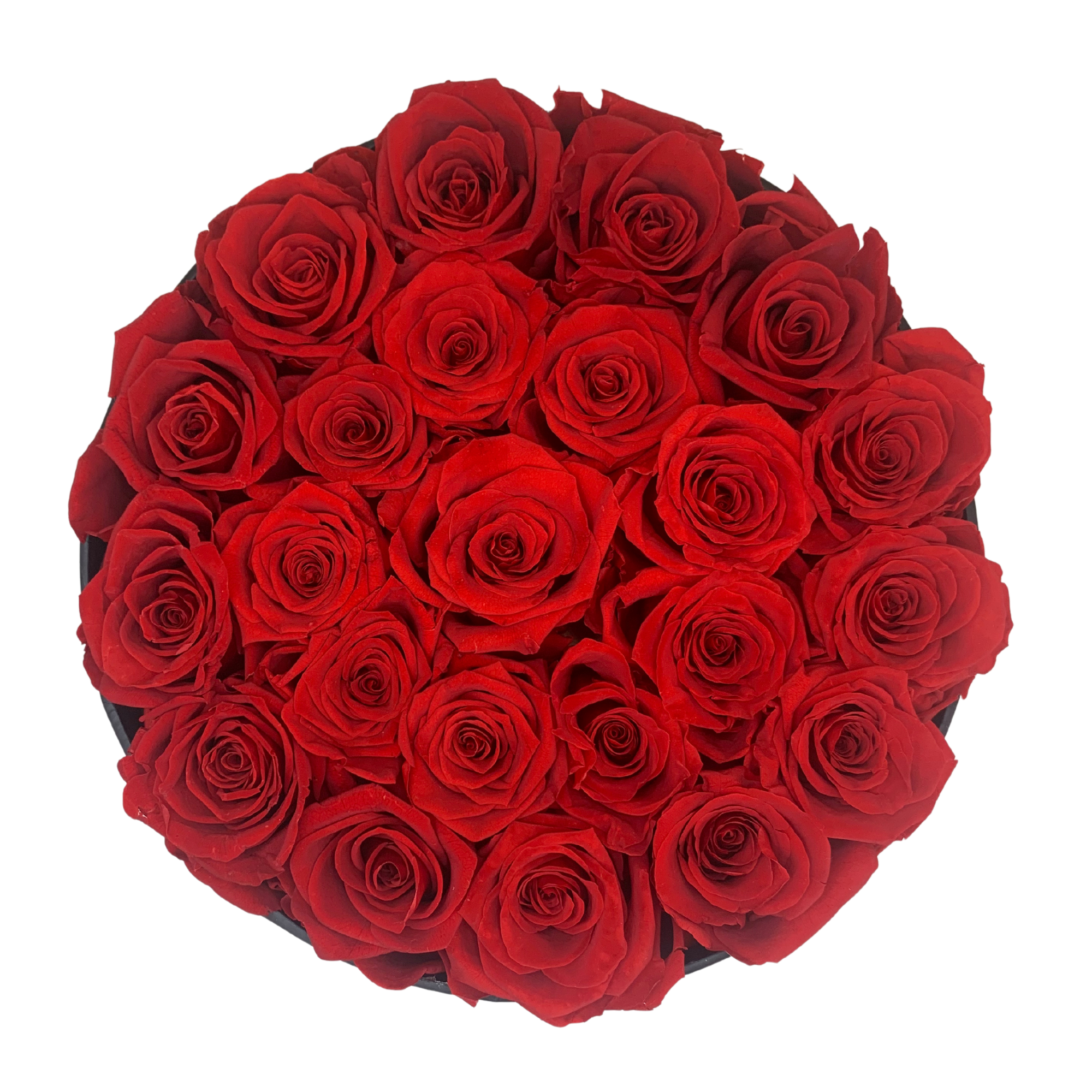 verona home and gift - Wholesale Dried/Pressed Flowers - 24 Real Preserved Roses that Last Forever In Round Box 8