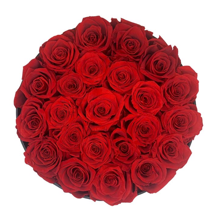 verona home and gift - Wholesale Dried/Pressed Flowers - 24 Real Preserved Roses that Last Forever In Round Box 8