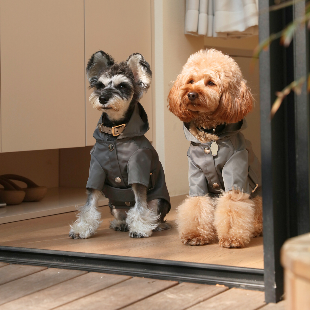 PEHOM - Vendita all'ingrosso Impermeabile - Cani - IMPERMEABILE BOWERY - GRIGIO4