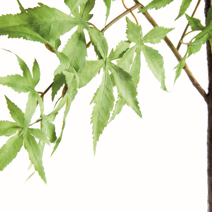 Green Maple Spray 71" for wholesale on Faire1