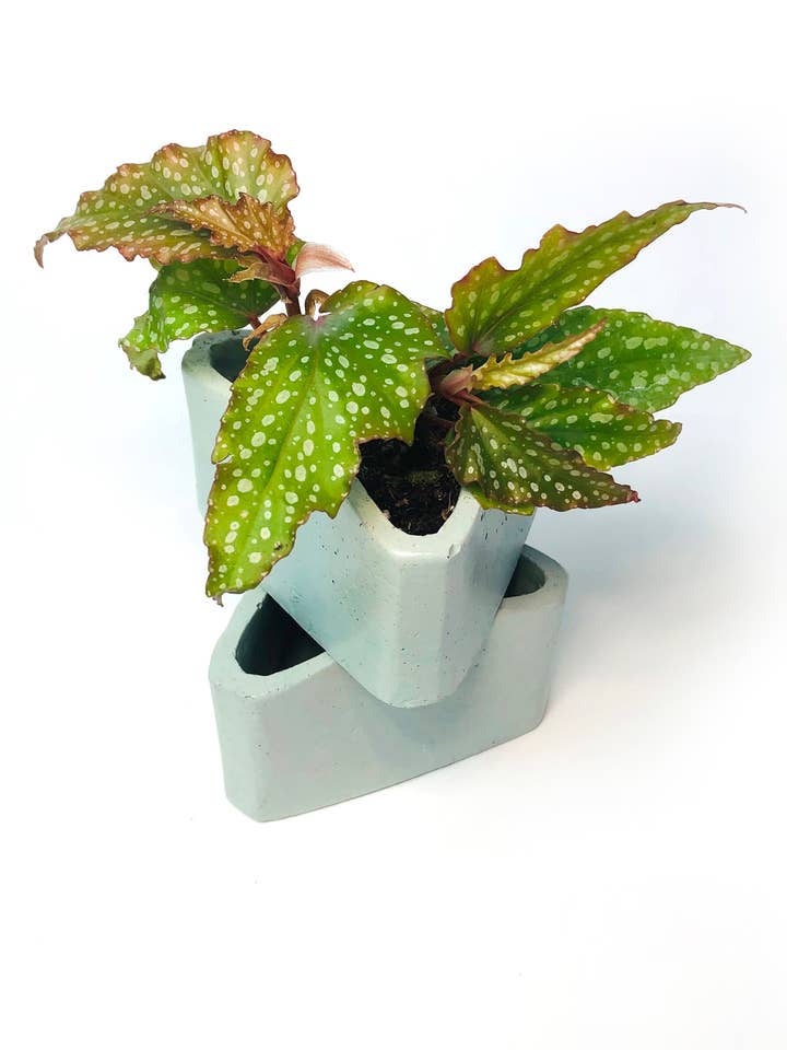 Betong triangel Planter - Mint för wholesale av Known Goods Co.