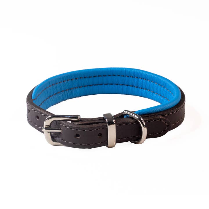 Padded Leather Collar Blue for wholesale by Dogs and Horses