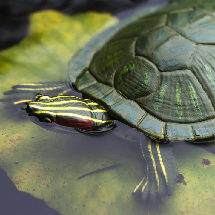 Safari Ltd. - Wholesale Figurine Toy - Kids - Red - Eared Slider Turtle - 269529