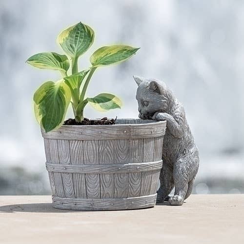 Roman - Wholesale Plant Pot - Kitten Bucket Planter