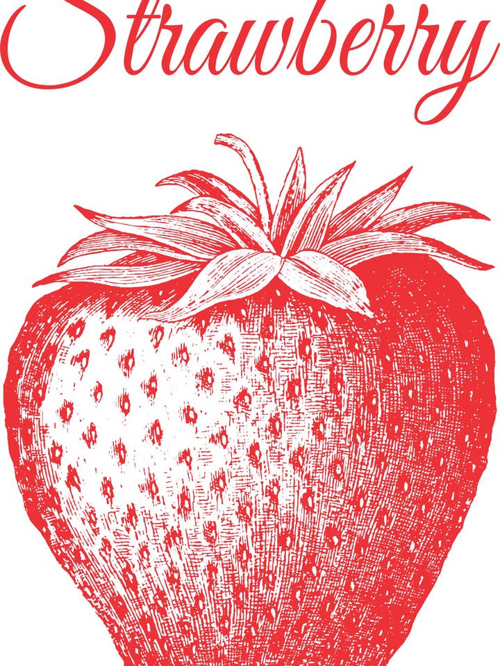 B- Organic - Vintage Strawberry - Small - 9 1/2" x 10" for wholesale by B-Organic