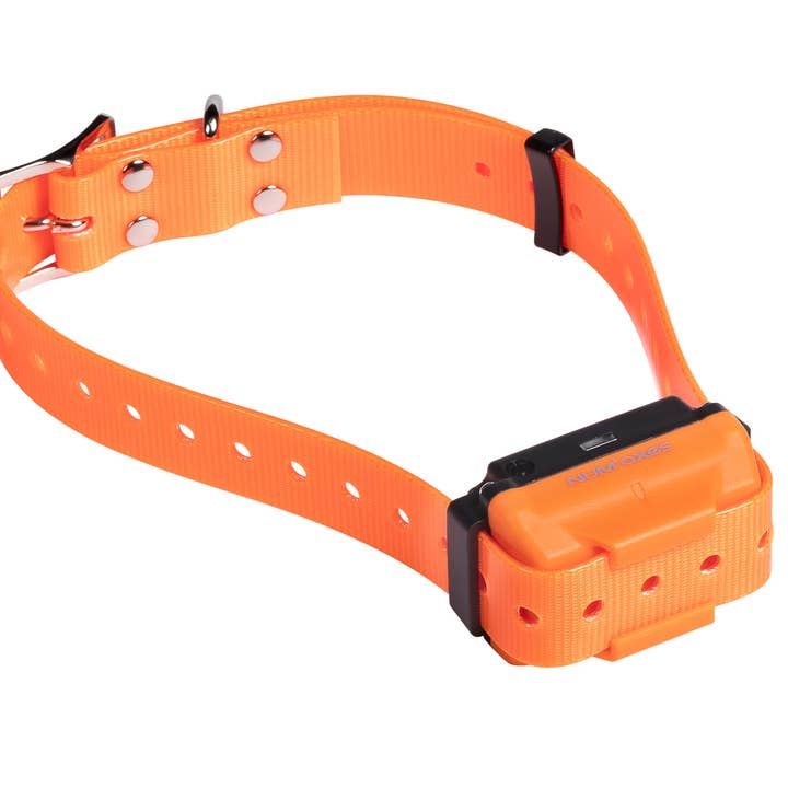 NUM'AXES – Großhandel Haustierpfeife – Hund – CANICOM-R 500 wiederaufladbares Hundetrainingsset
