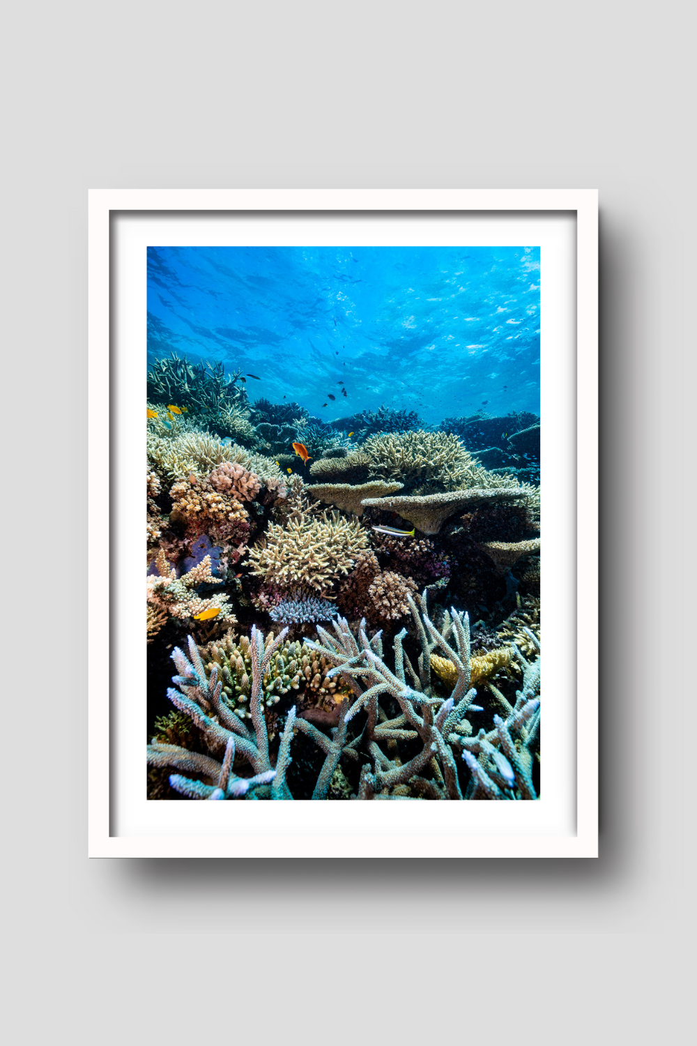 Above And Below Gallery - Wholesale Art print - Lower Levels2