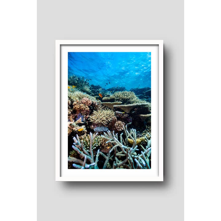 Above And Below Gallery - Wholesale Art print - Lower Levels2