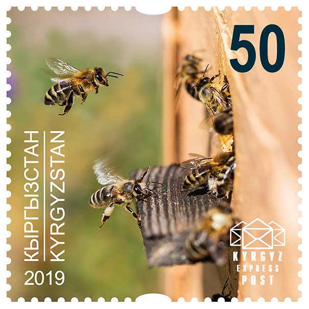 Zayti L.T.D.M - Wholesale Honey - White Honey from Kyrgyzstan. Sainfoin Honey, Sweet and Fragrant9