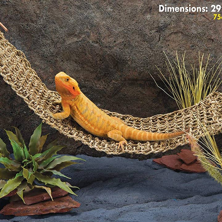 Penn-Plax - Wholesale Terrarium - Reptology Lizard Lounger – Extra Large1