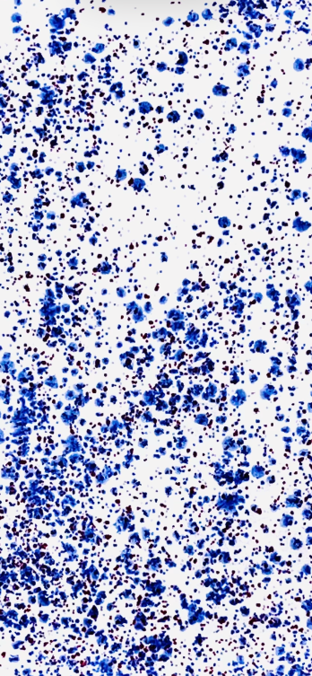 Nori’s Wishes – Großhandel Gewürz-/Dipschale – Salsa-Schüsseln3