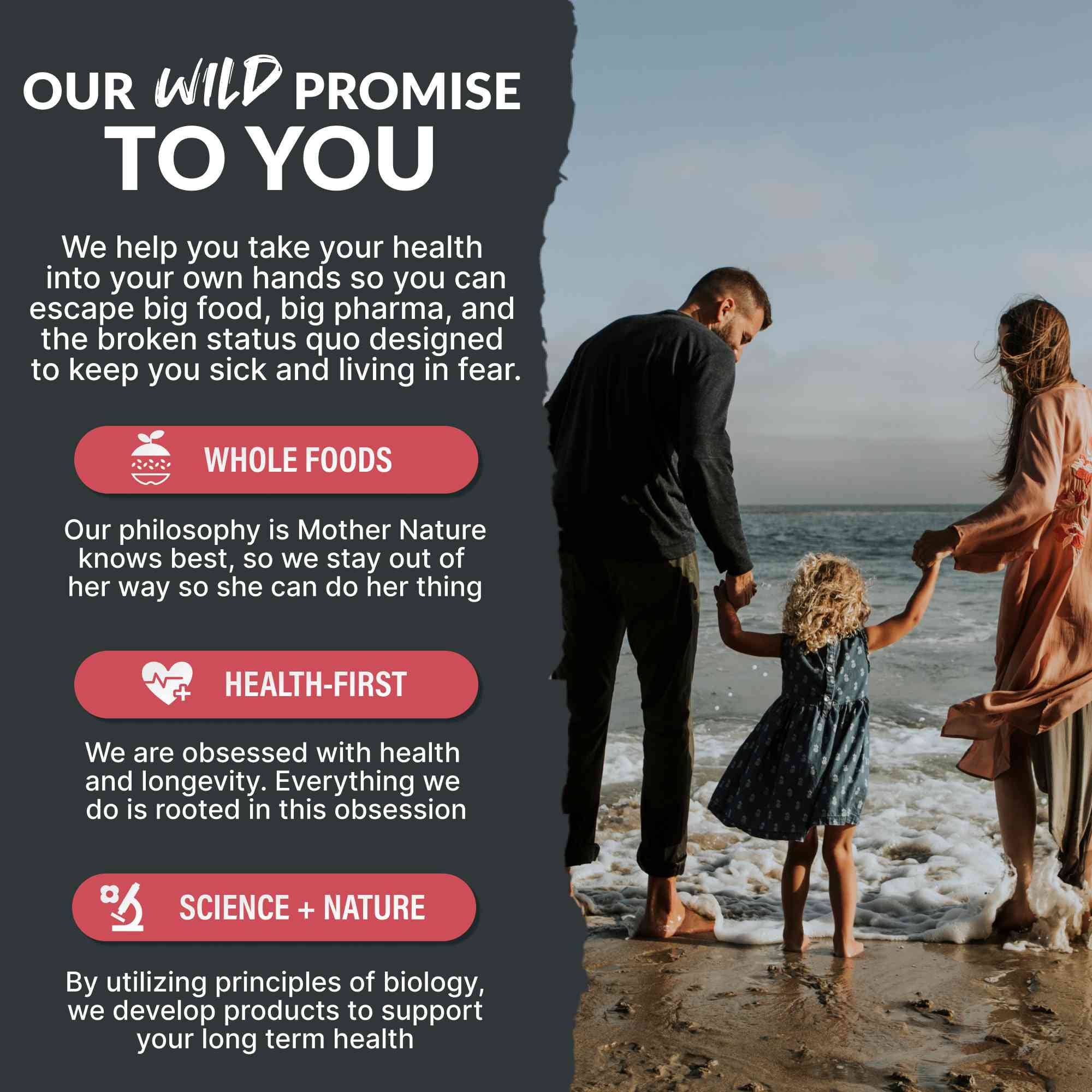 Wild Foods - Wholesale Oral Supplement/Vitamin - Wholesale - Creatine + Electrolytes, Delicious5