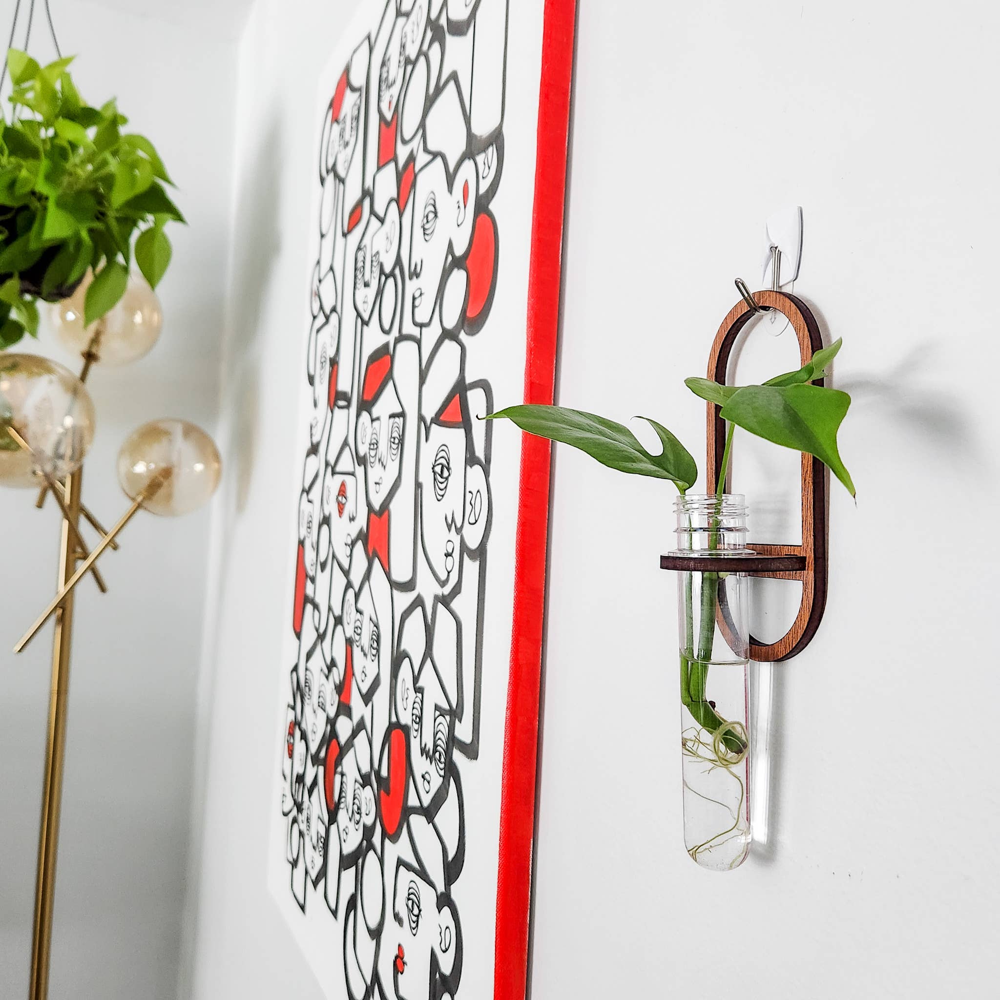 Leaf & Node - Wholesale Hanging Planter - Wall Hanging Propagation Station - Oval Test Tube Holder7