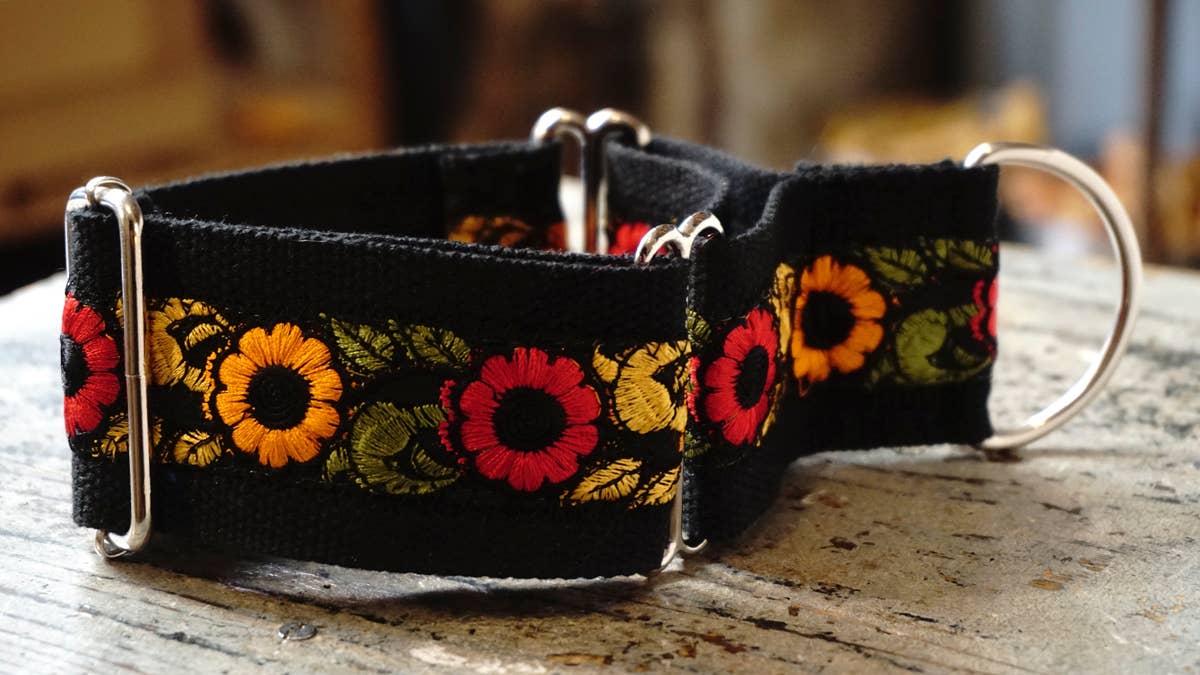 hundsfutter - Wholesale Pet Collar - Dog - Wide collar anti escape design6